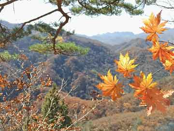 泡芙视频今日最热：秘闻事件曝光，神秘人现场曝光，真相让人瞠目