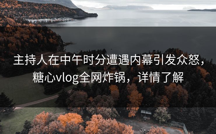 主持人在中午时分遭遇内幕引发众怒，糖心vlog全网炸锅，详情了解